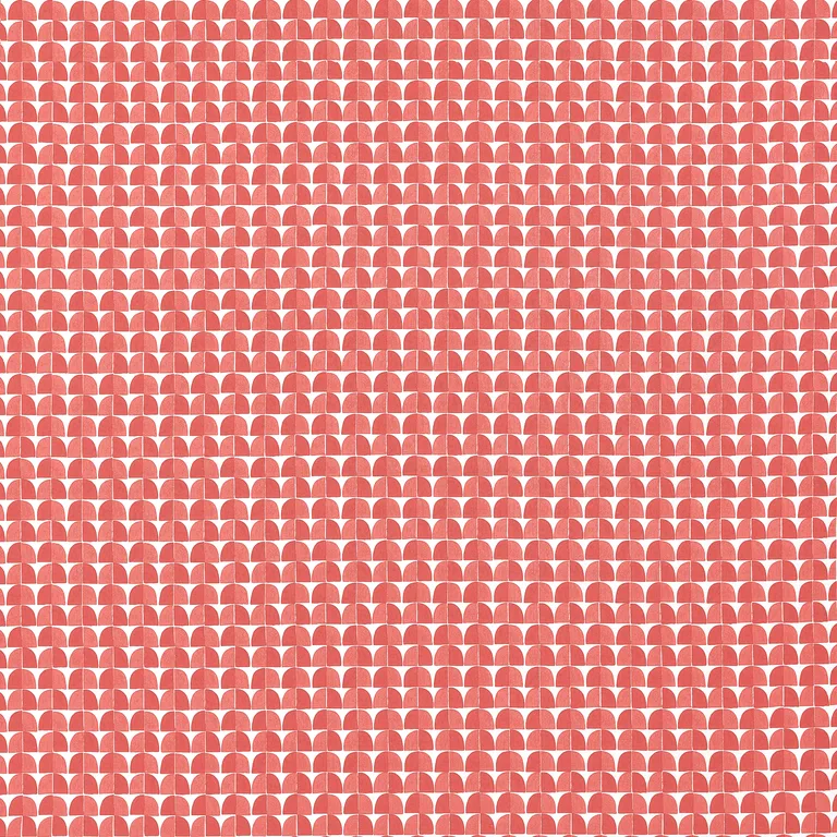 Thibaut Solsbury in Coral (F945021)