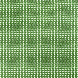 Thibaut Solsbury in Green (F945019)