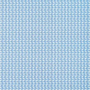Thibaut Solsbury in Light Blue (F945024)