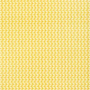 Thibaut Solsbury in Sunshine Yellow (F945020)