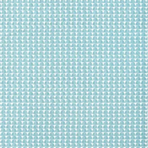 Thibaut Solsbury in Turquoise (F945018)