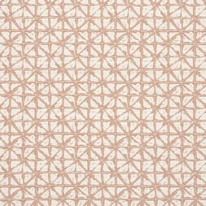 Thibaut Soren in Clay (W8742)