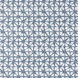 Thibaut Soren in Denim (W8745)