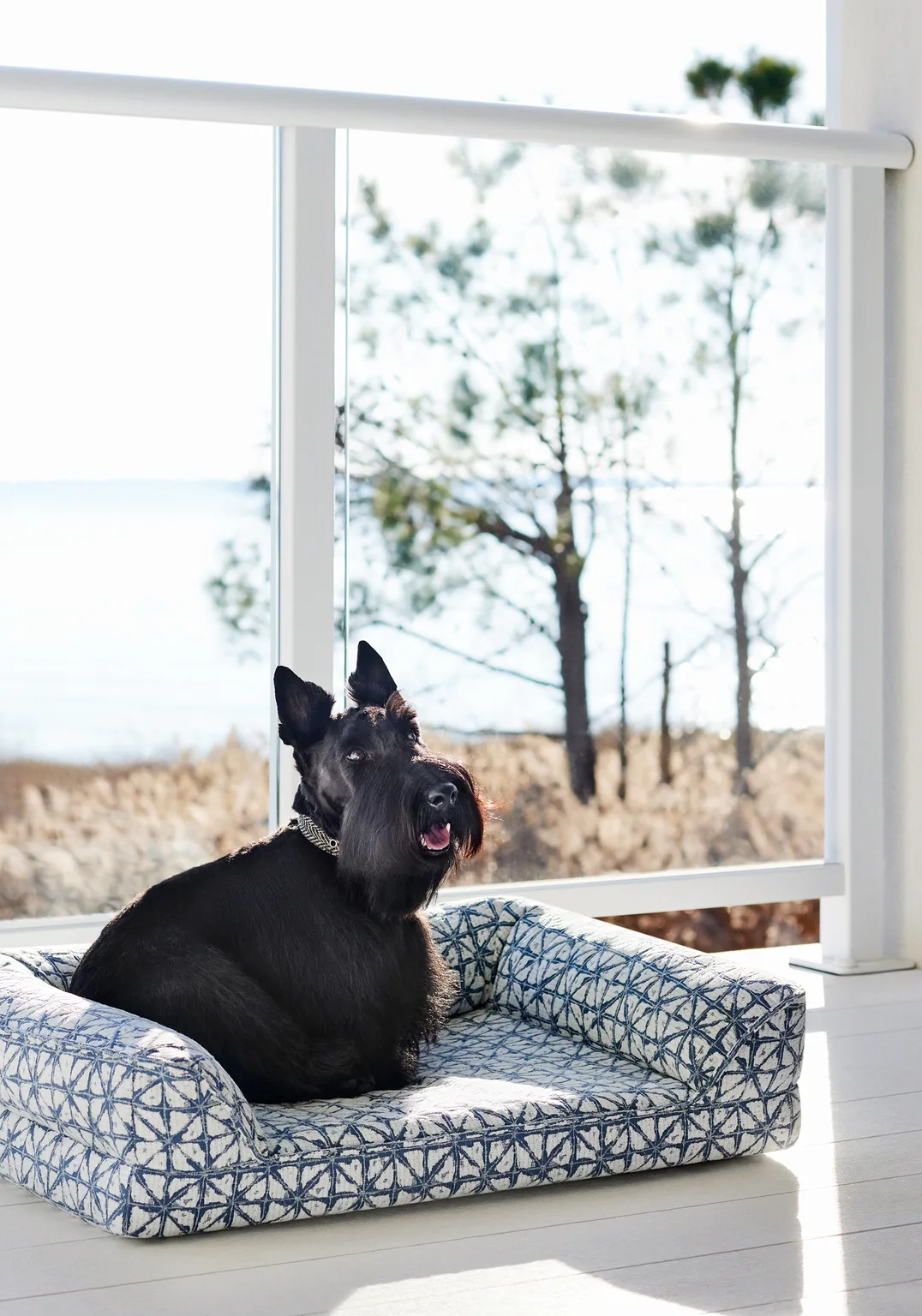 Thibaut Soren in Denim (W8745)