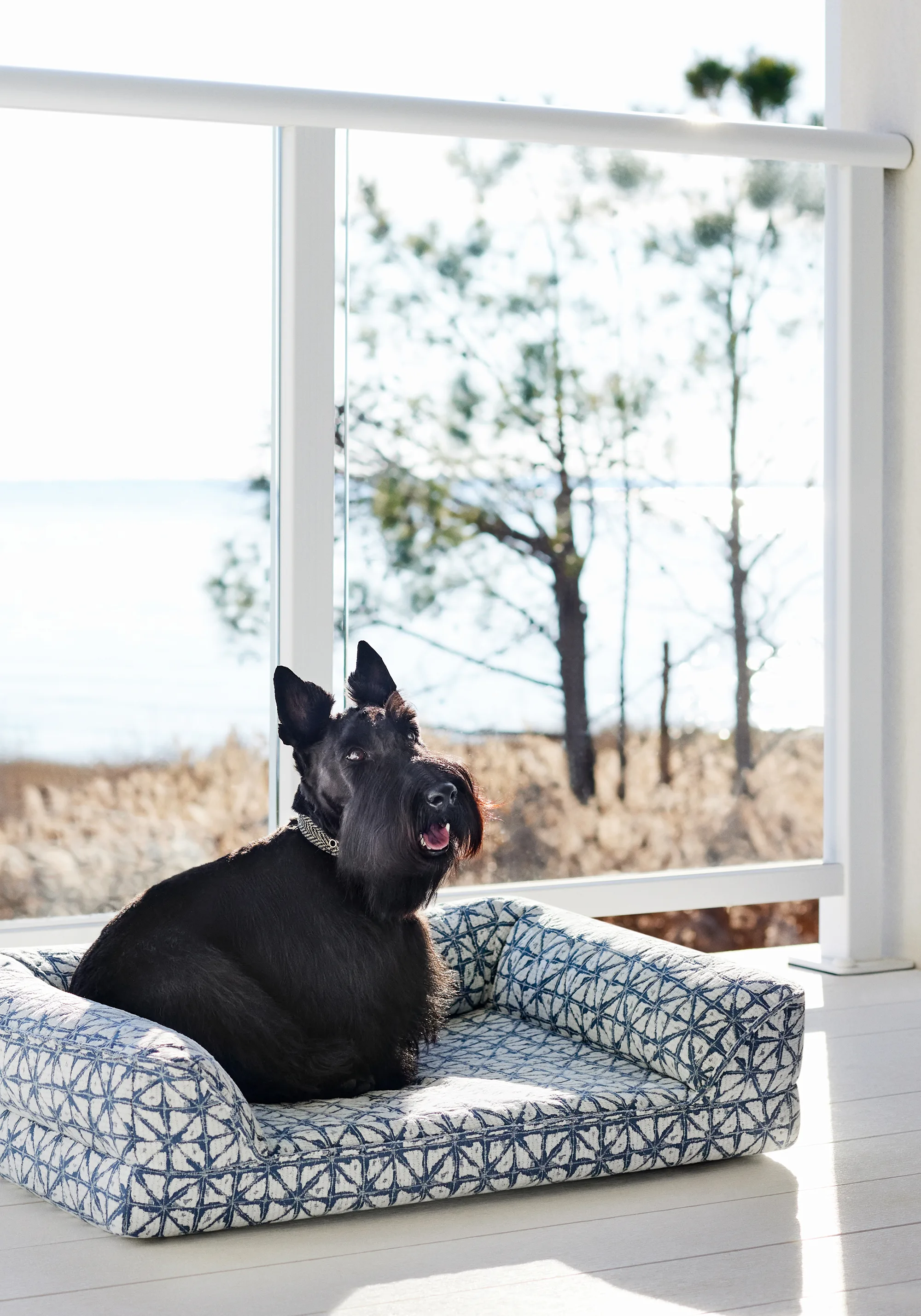 Thibaut Soren in Denim (W8745)