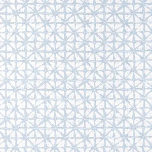 Thibaut Soren in Powder (W8743)