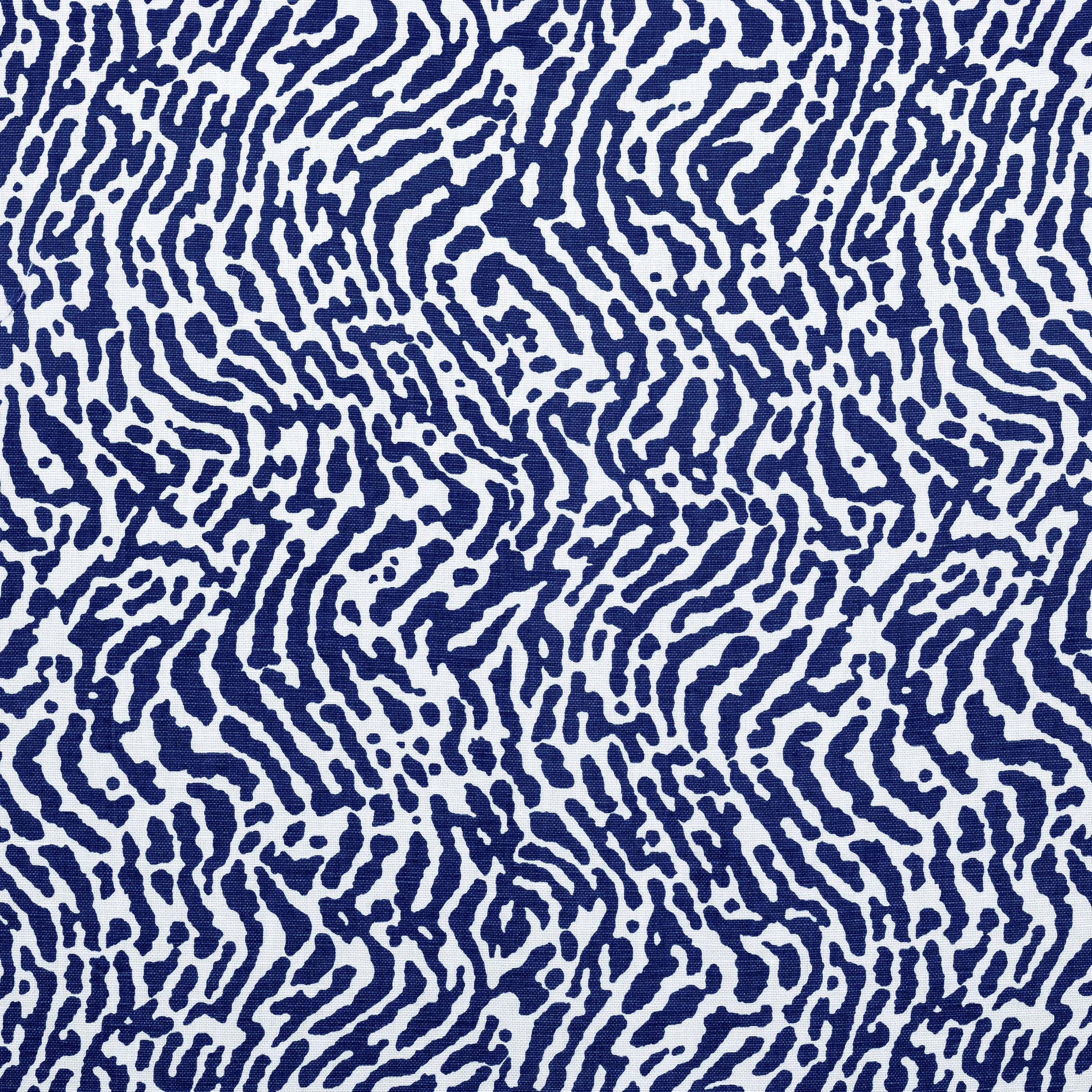 Thibaut St. Croix in Navy (F913151)