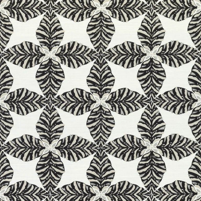 Thibaut Starleaf in Black (F92971)