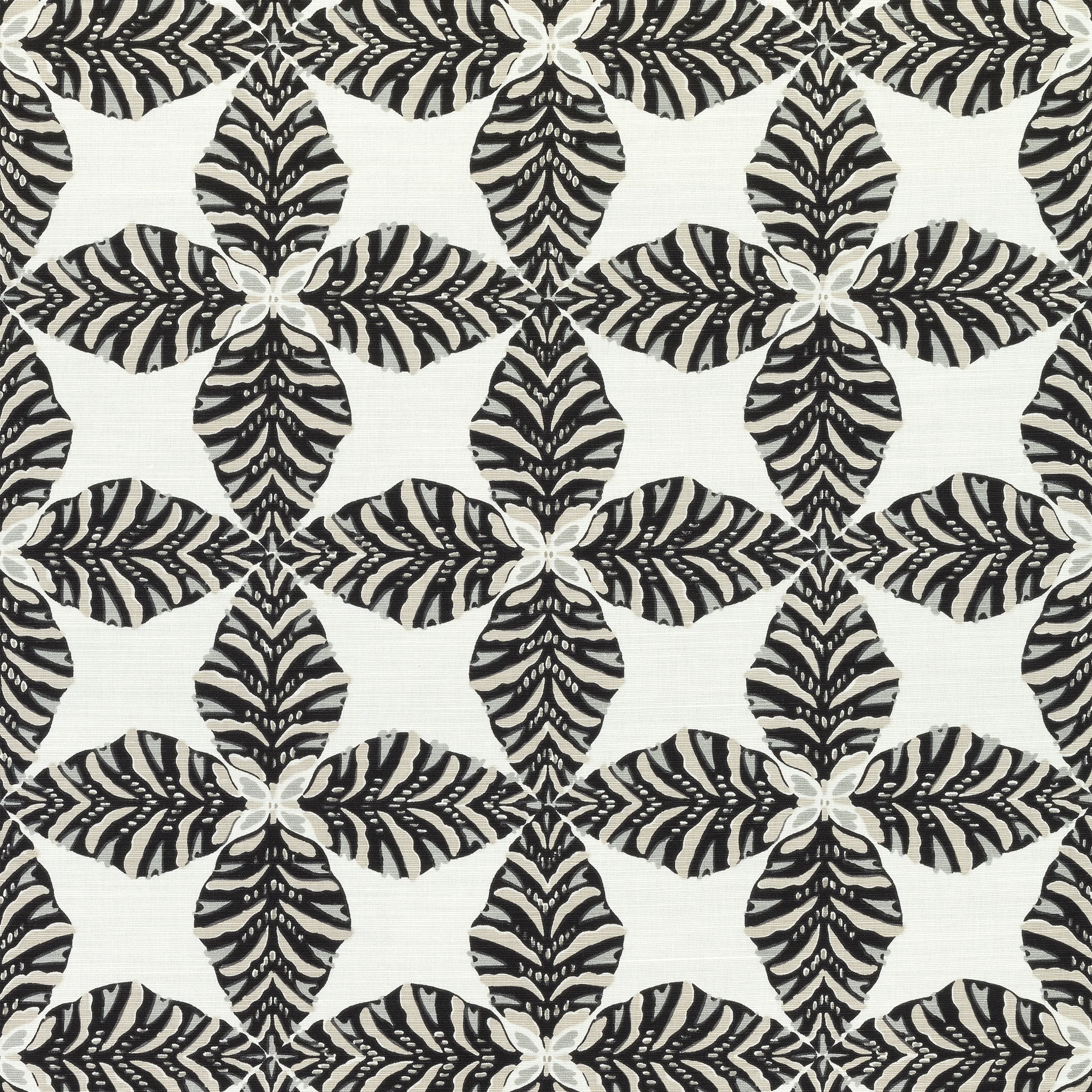 F92971 | Starleaf – Black