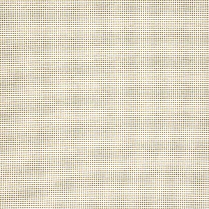 Thibaut Stella in Camel (W77116)