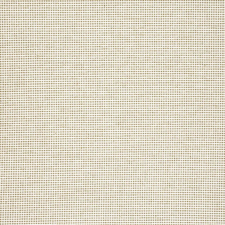 Thibaut Stella in Camel (W77116)