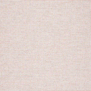 Thibaut Stella in Clay (W77118)