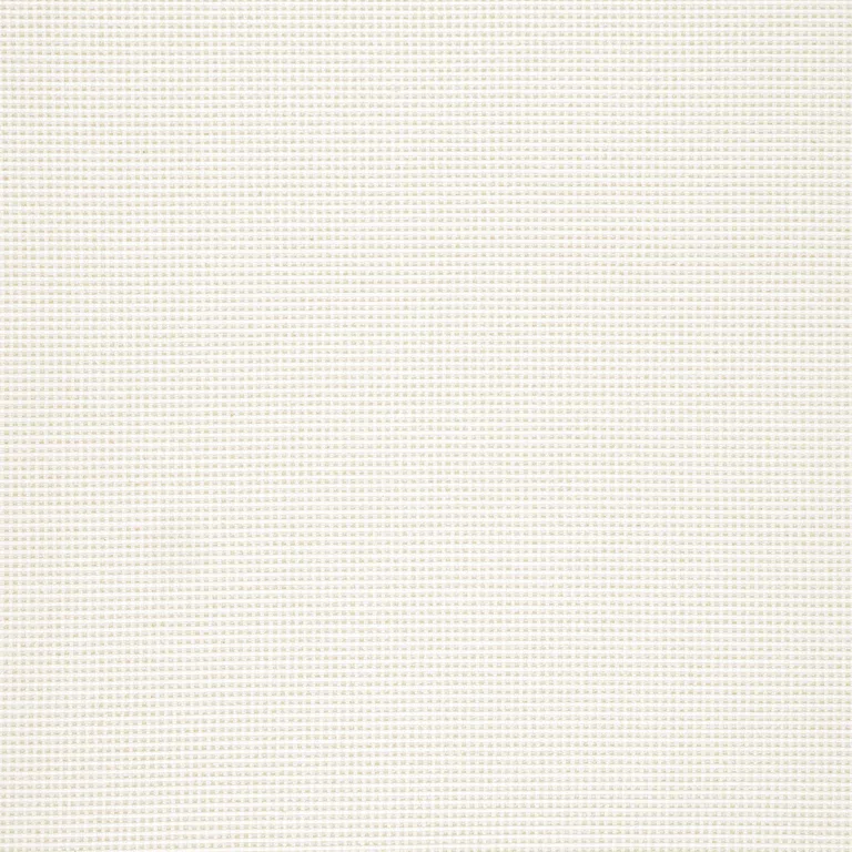 Thibaut Stella in Parchment (W77114)