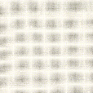 Thibaut Stella in Stone (W77115)