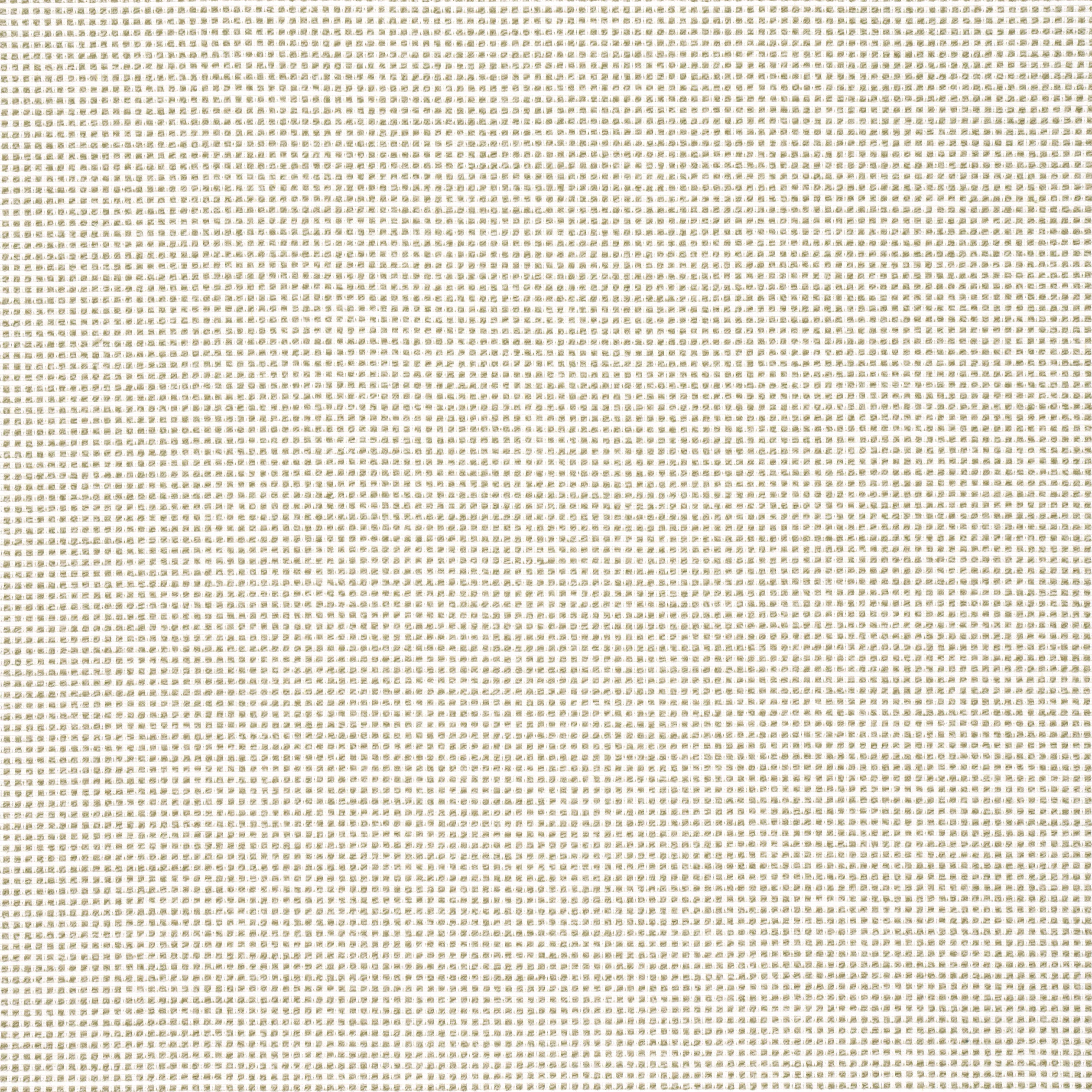 Thibaut Stella in Stone (W77115)