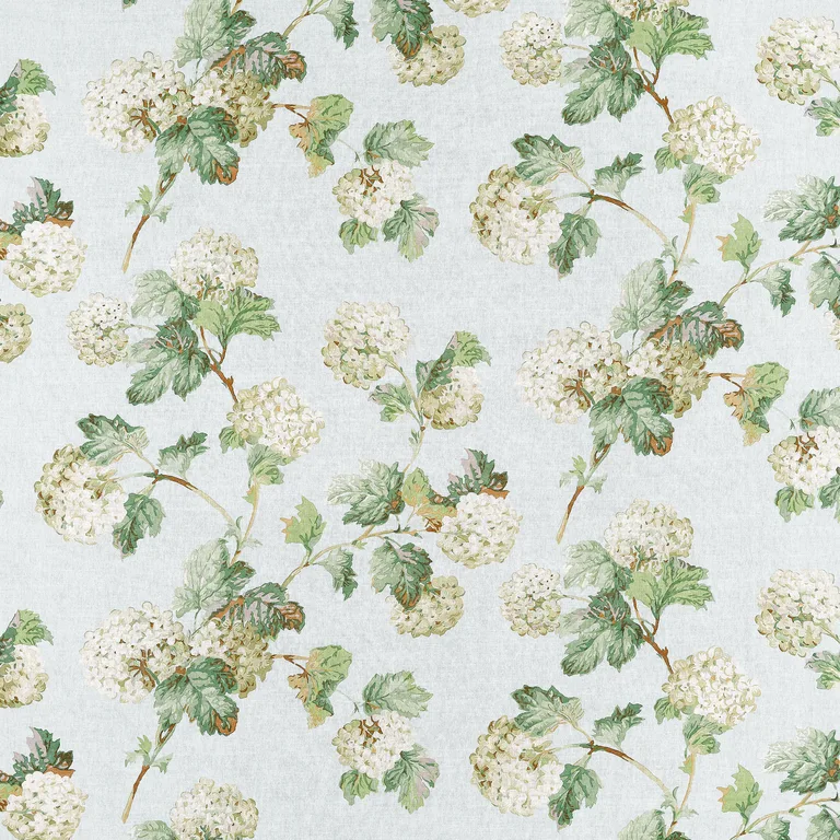 Anna French Sussex Hydrangea in Soft Blue (AF57845)