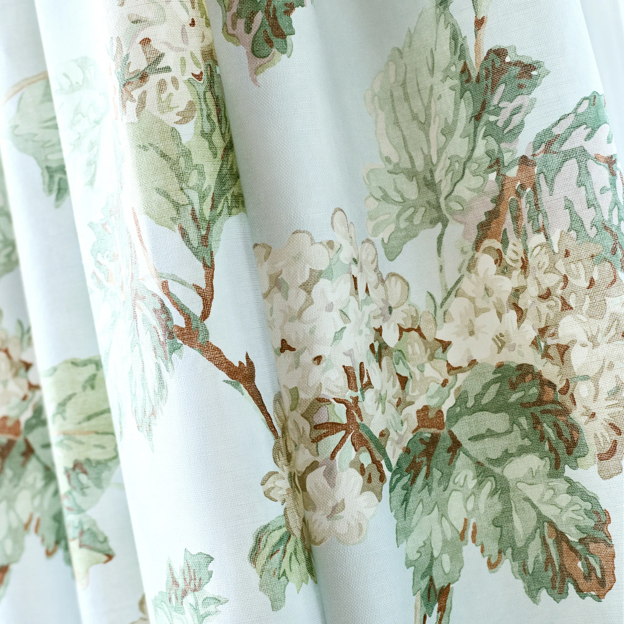 Anna French Sussex Hydrangea in Soft Blue (AF57845)