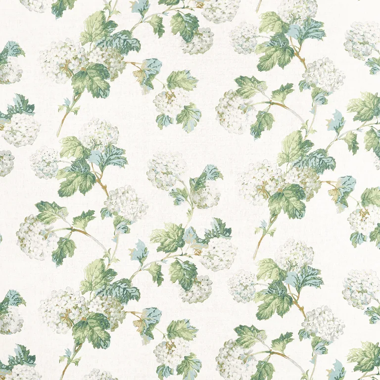 Anna French Sussex Hydrangea in White and Green (AF57849)