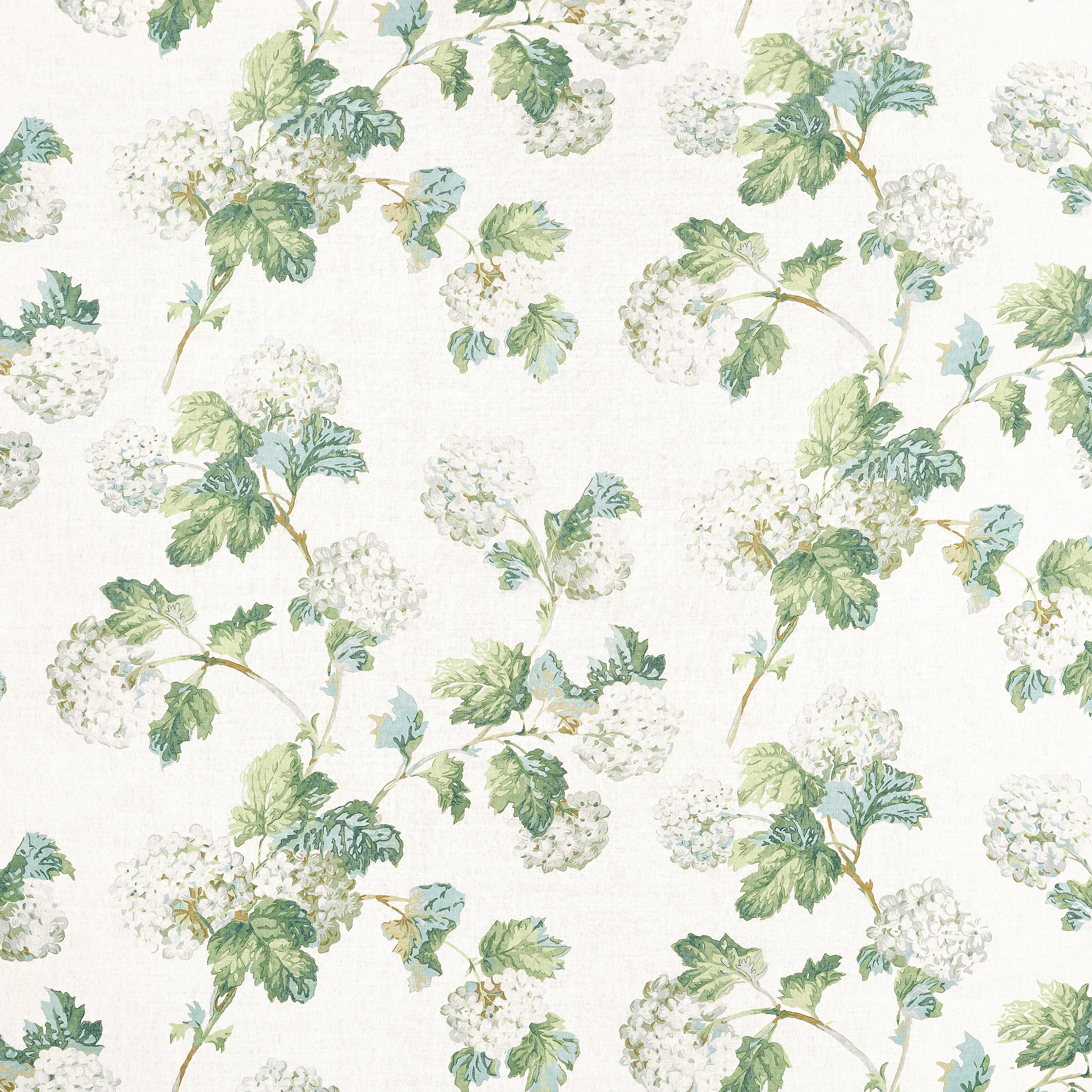 AF57849 | Sussex Hydrangea – White and Green