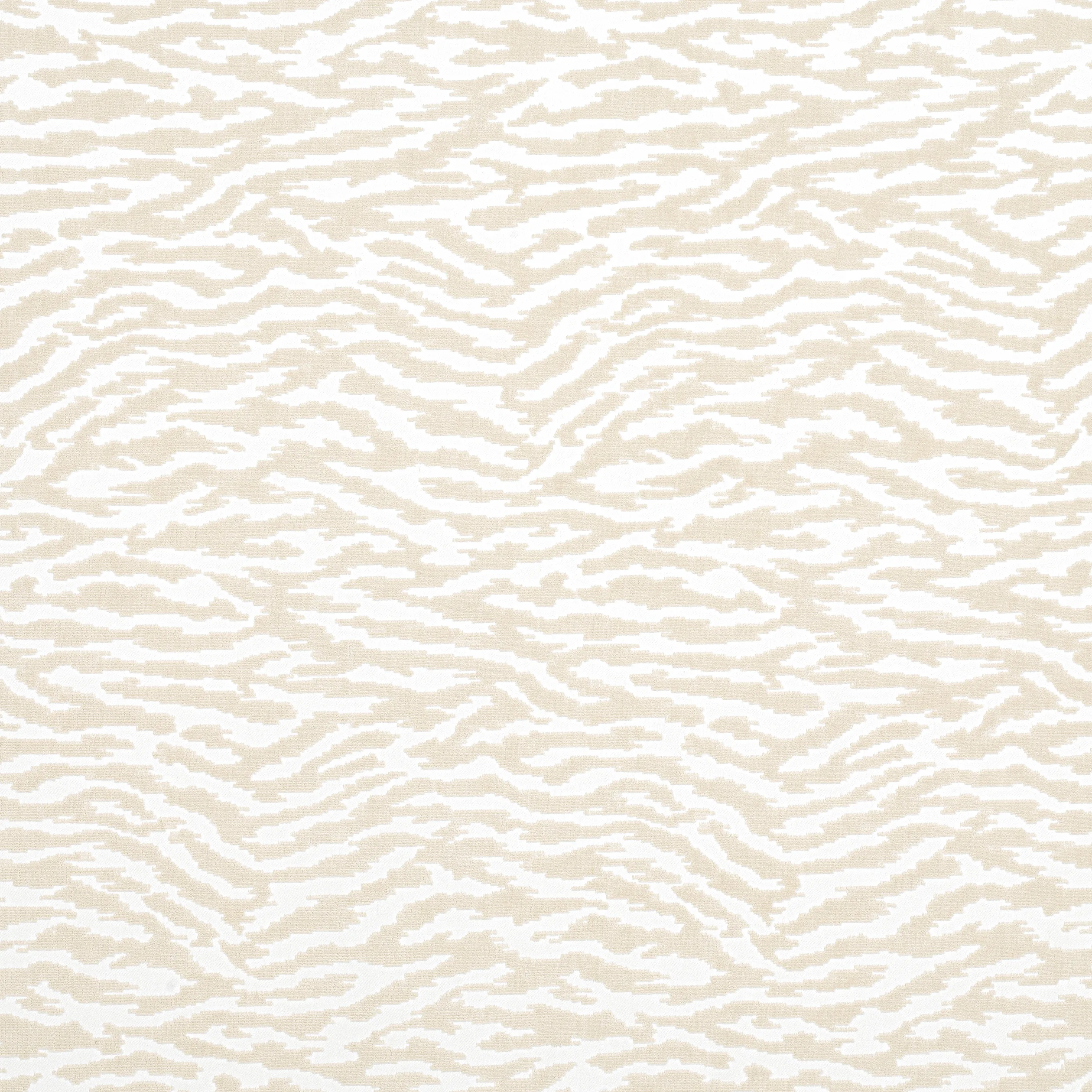 AW24519 | Tadoba Velvet – Beige