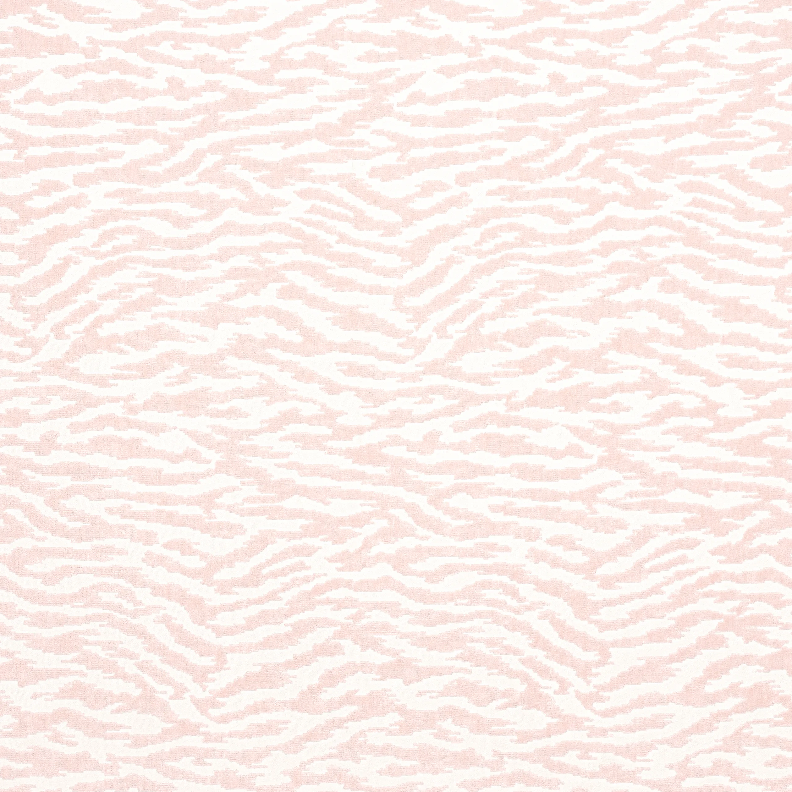 AW24522 | Tadoba Velvet – Blush