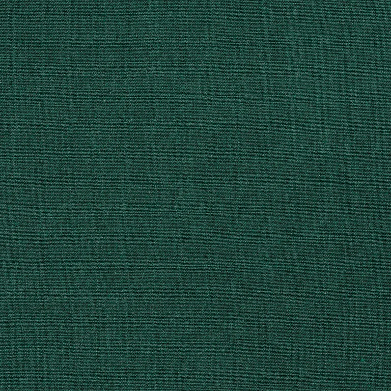 Thibaut Tela in Forest (W8583)