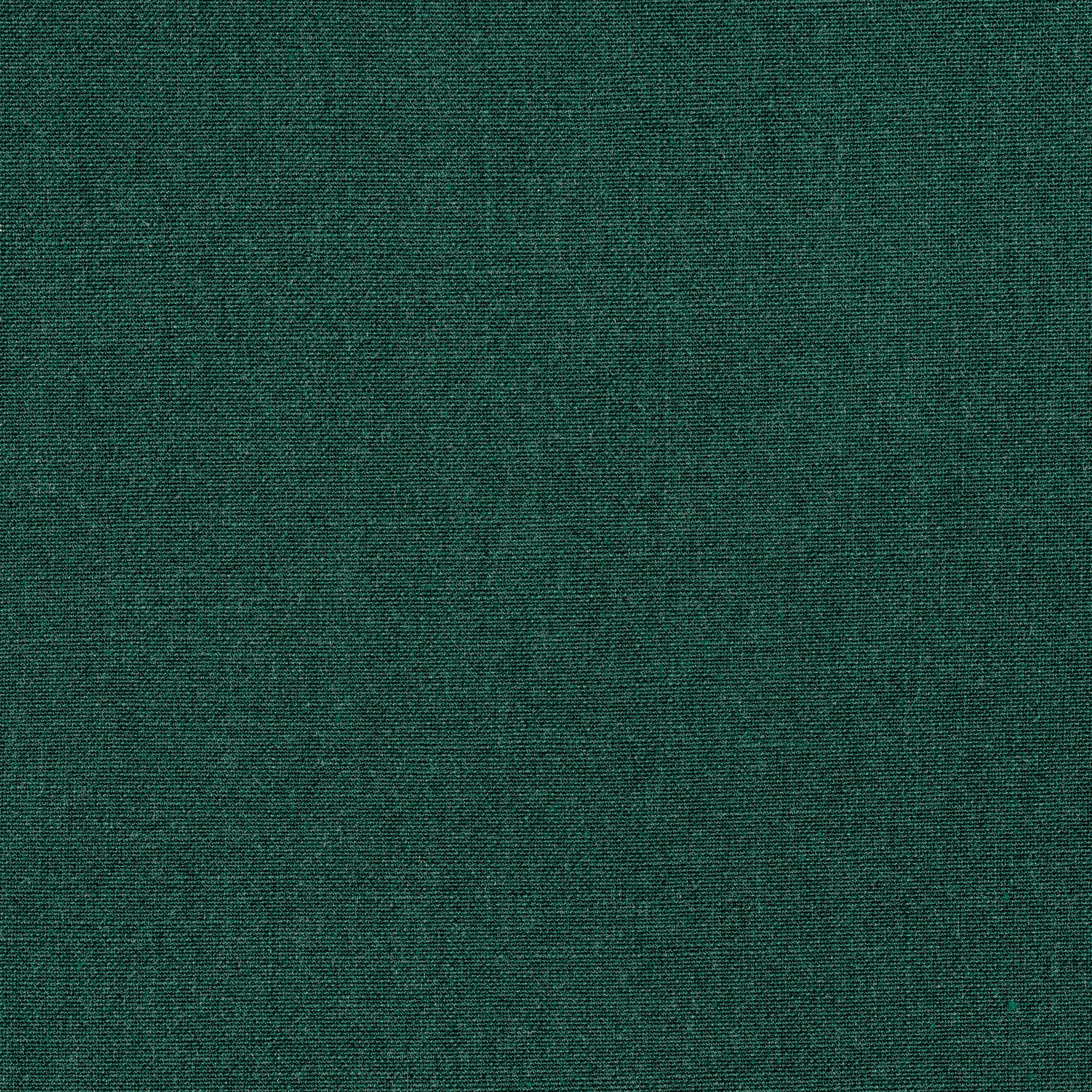 Thibaut Tela in Forest (W8583)