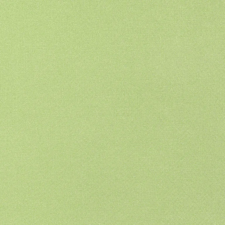 Thibaut Tessa in Kiwi (W81656)