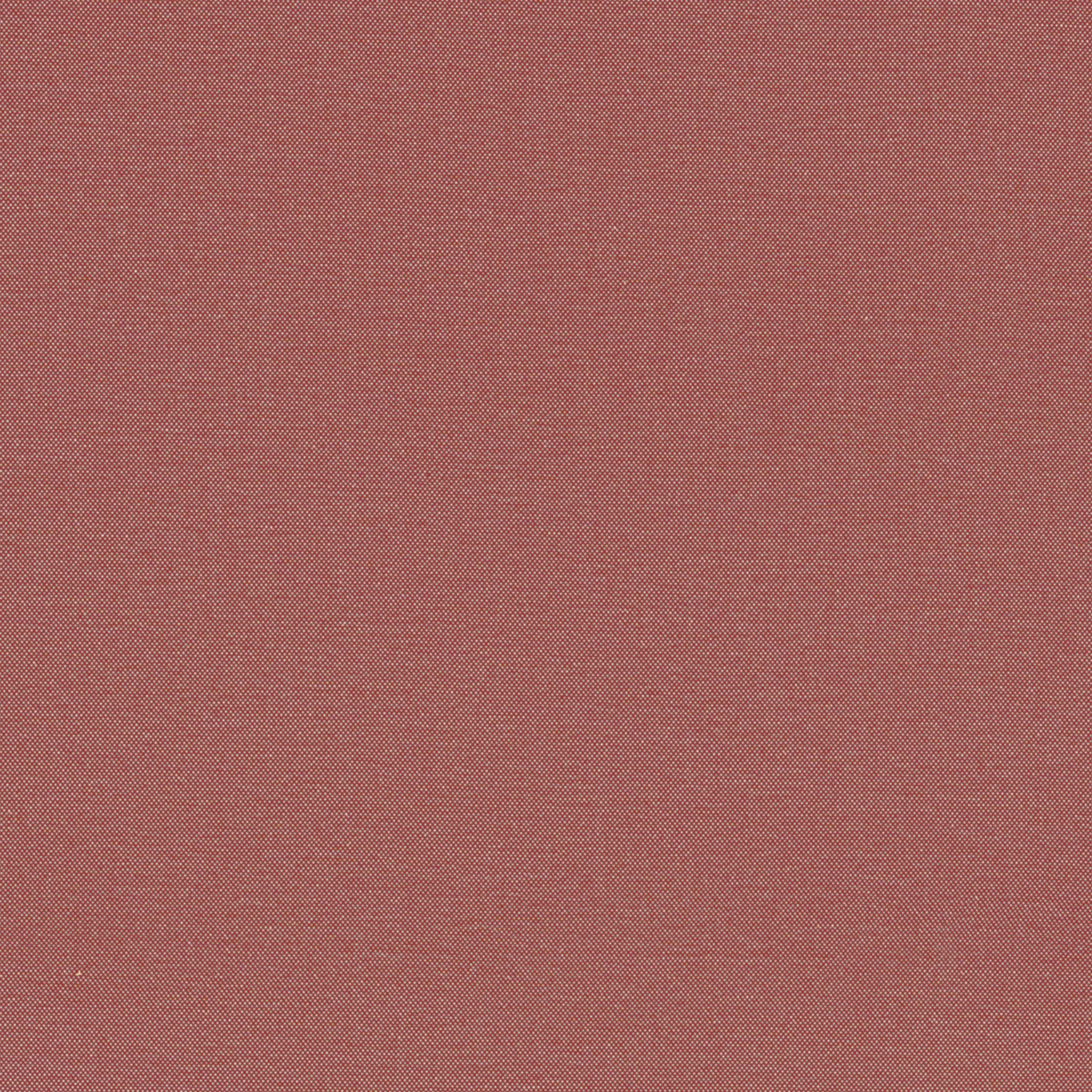 W81653 | Tessa – Russet