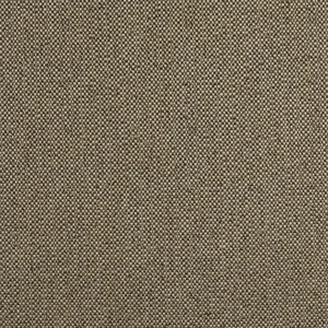 Thibaut Tinta in Mocha (W8129)
