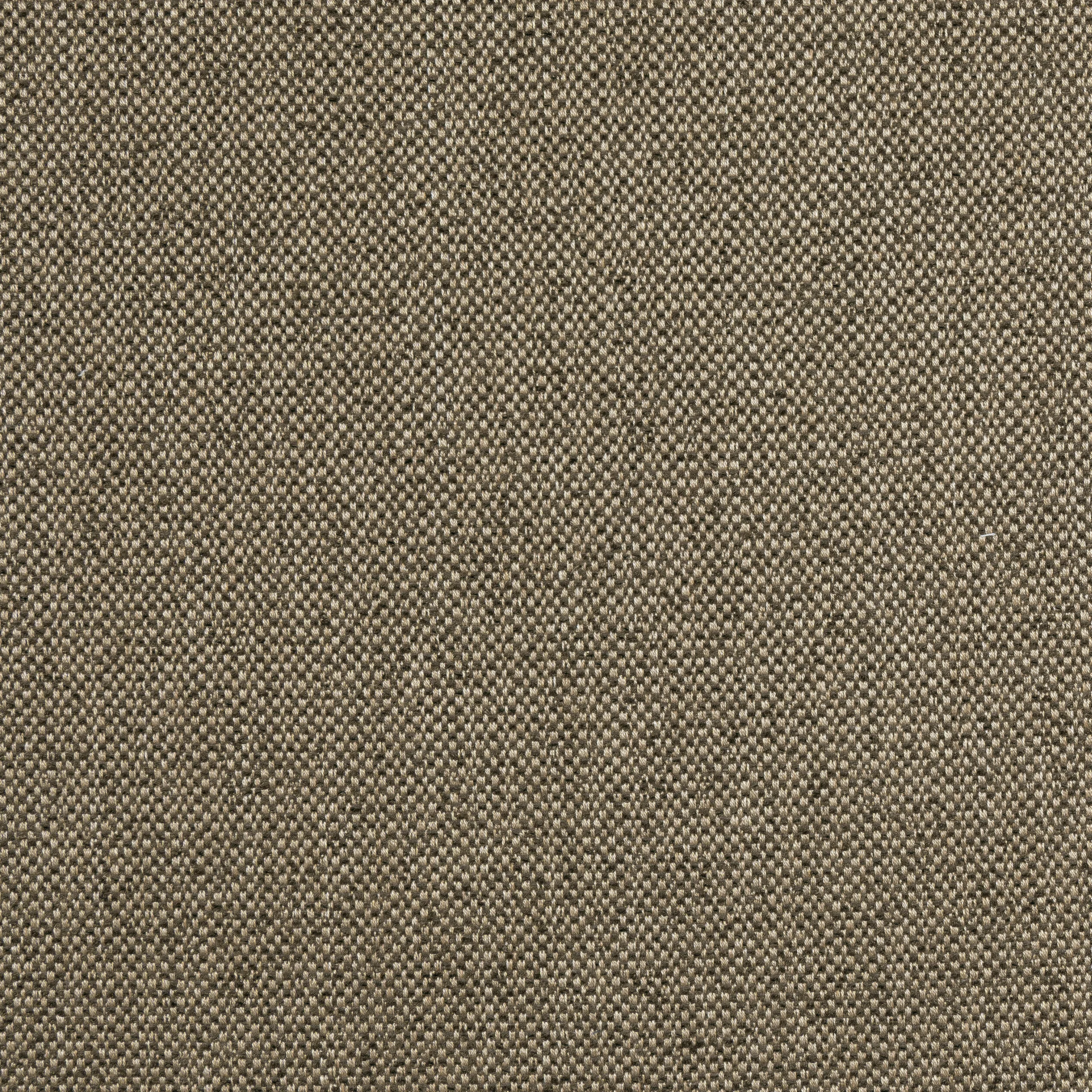 Thibaut Tinta in Mocha (W8129)