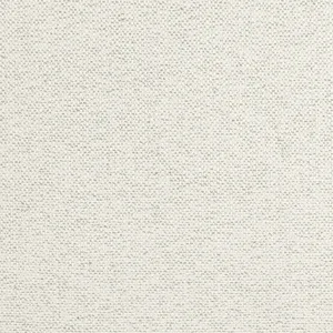 Thibaut Tinta in Platinum (W8134)