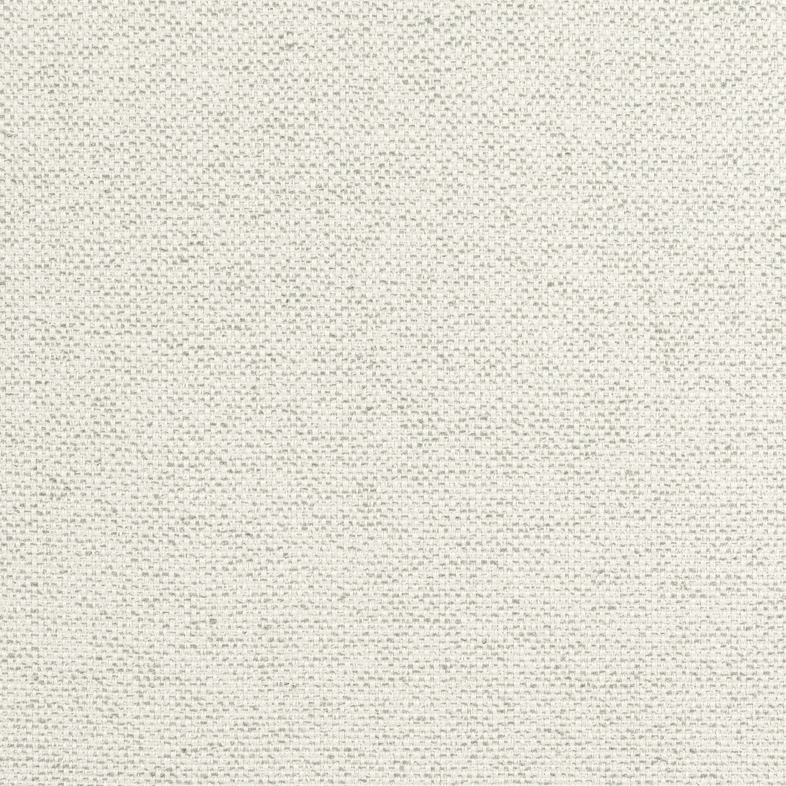 Thibaut Tinta in Platinum (W8134)