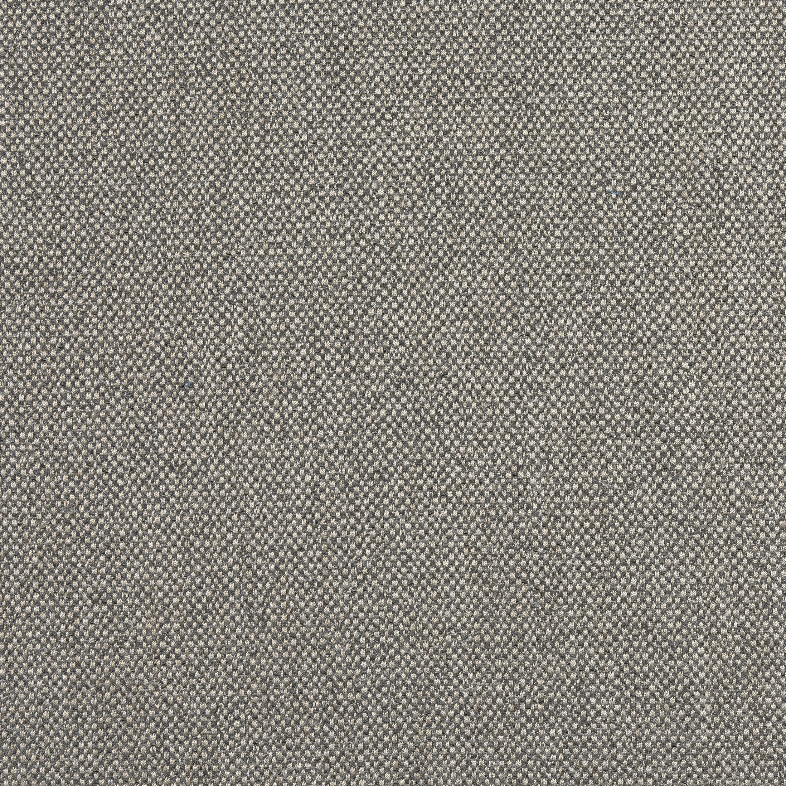 Thibaut Tinta in Smoke (W8132)
