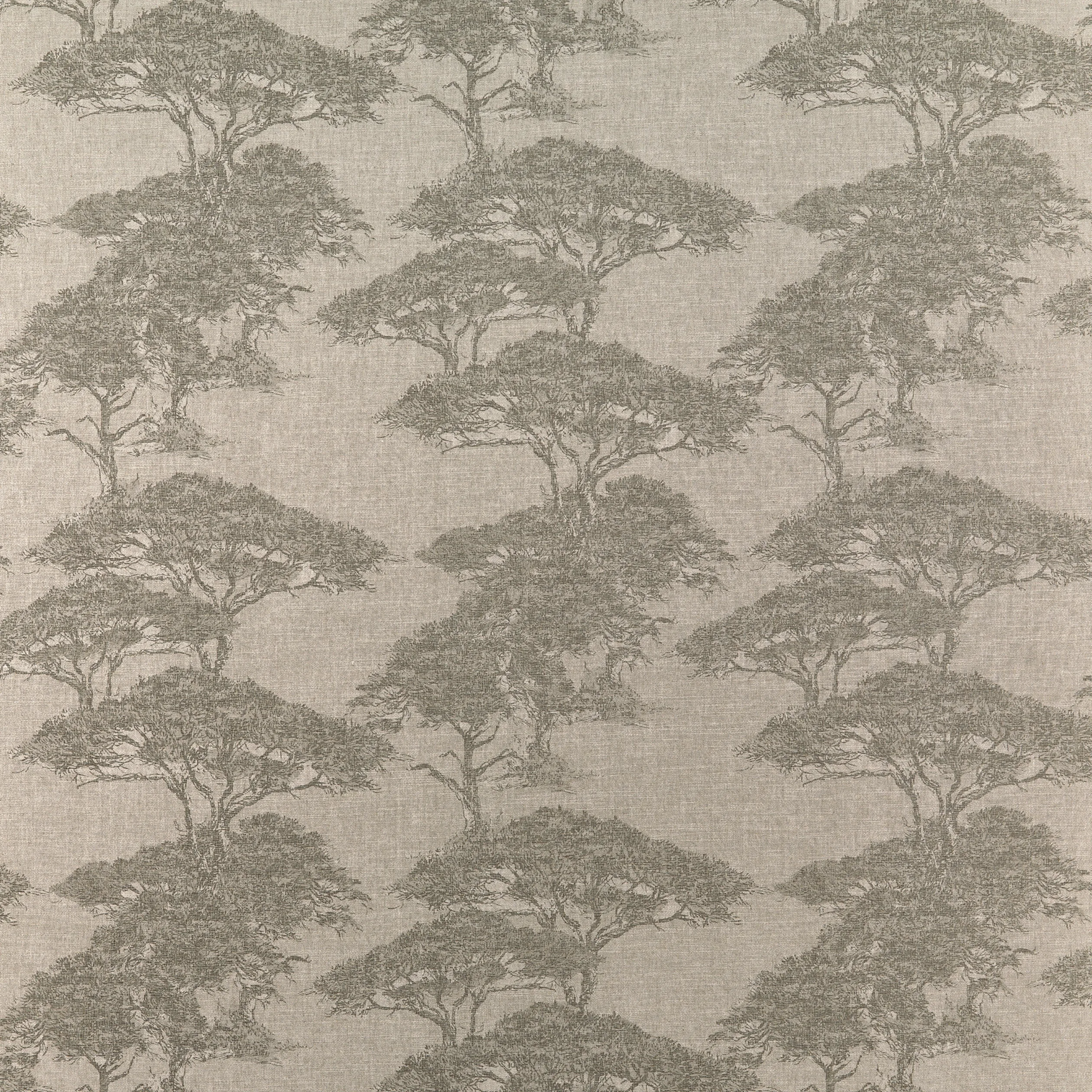 F924435 | Torrey Pines – Beige and Black