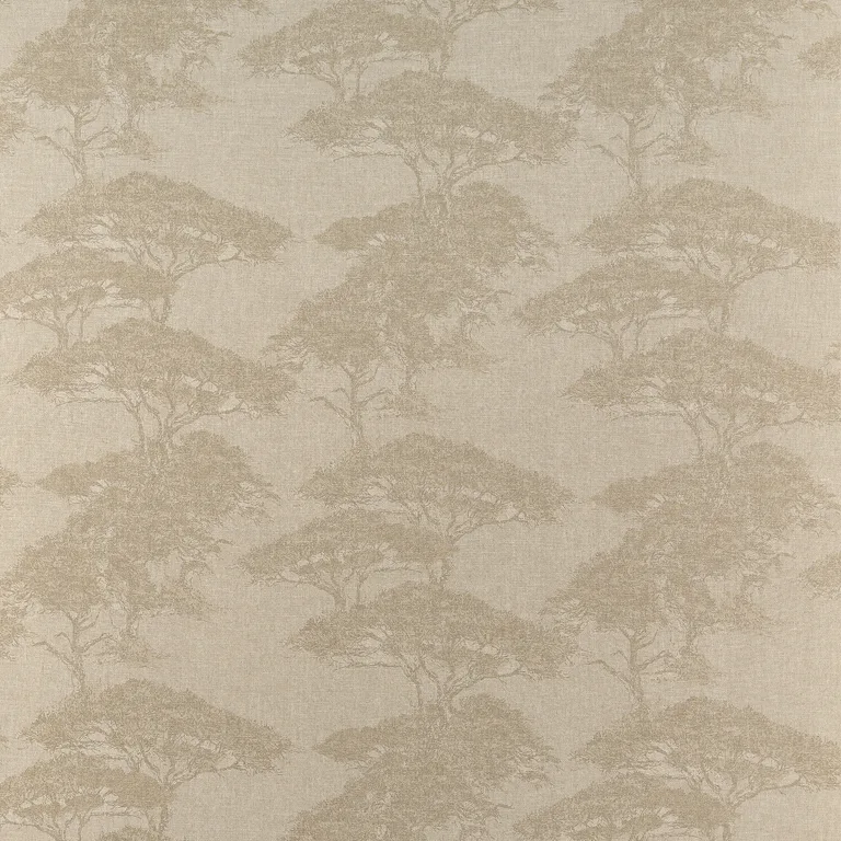 Thibaut Torrey Pines in Champagne (F924436)