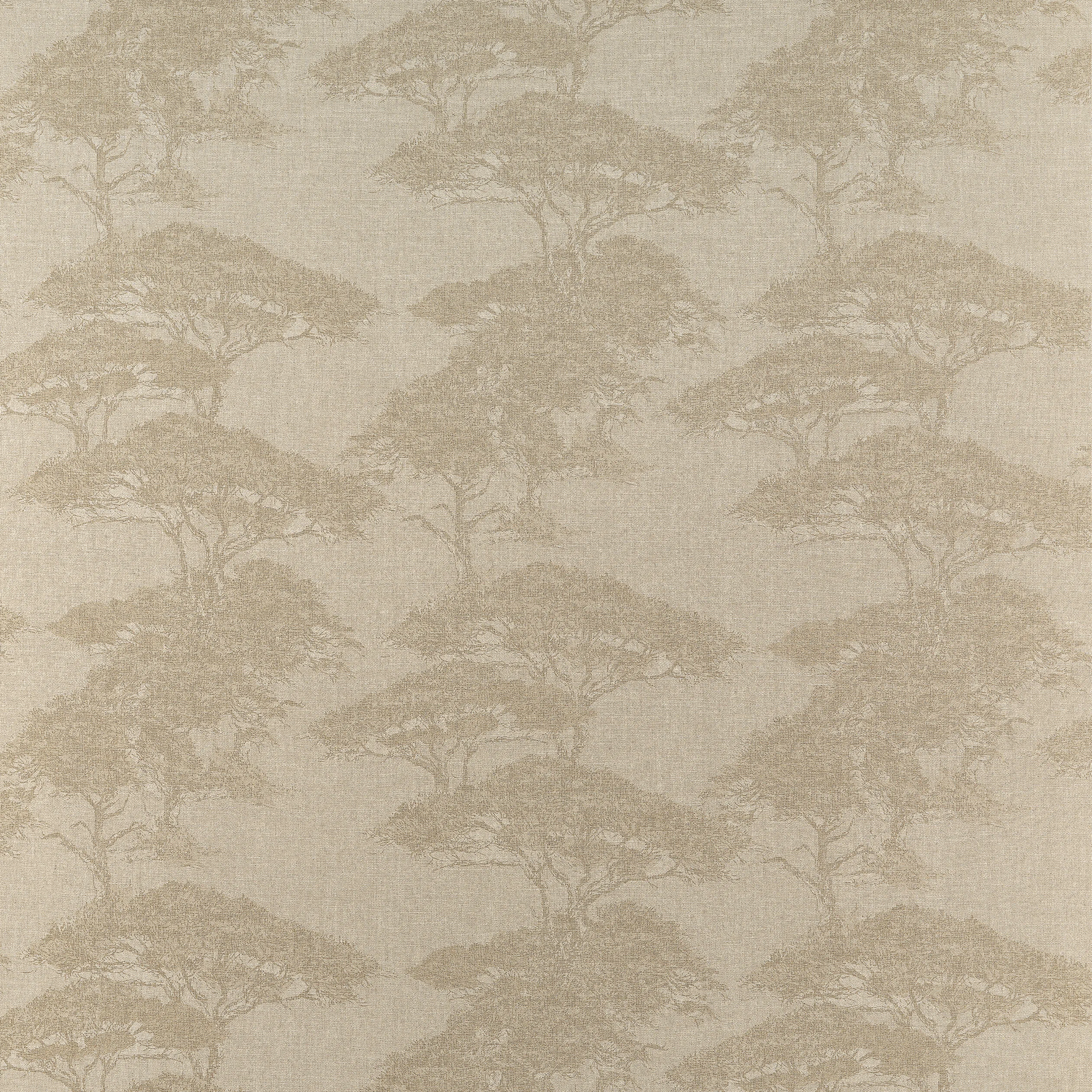 F924436 | Torrey Pines – Champagne