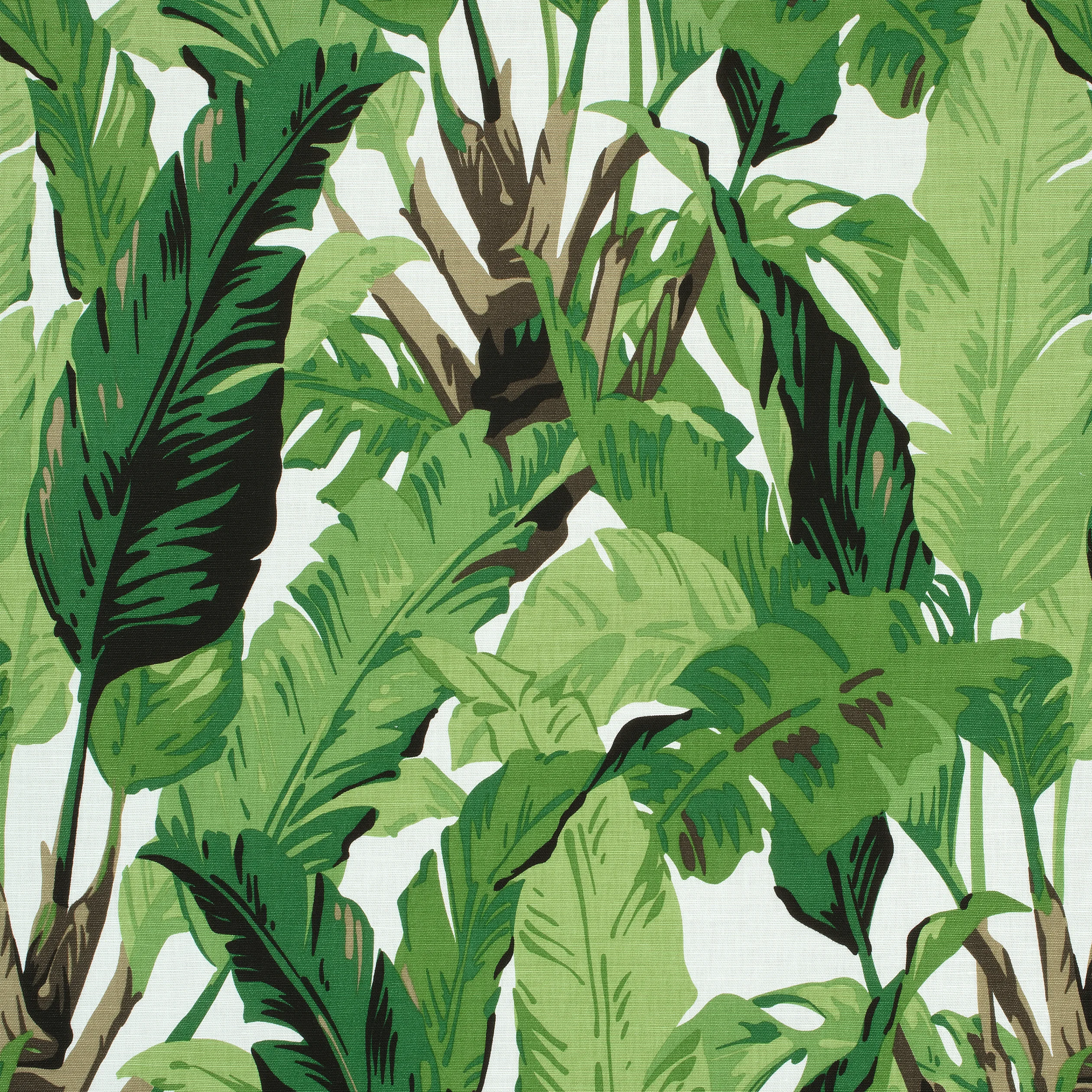 F910127 | Travelers Palm – Green