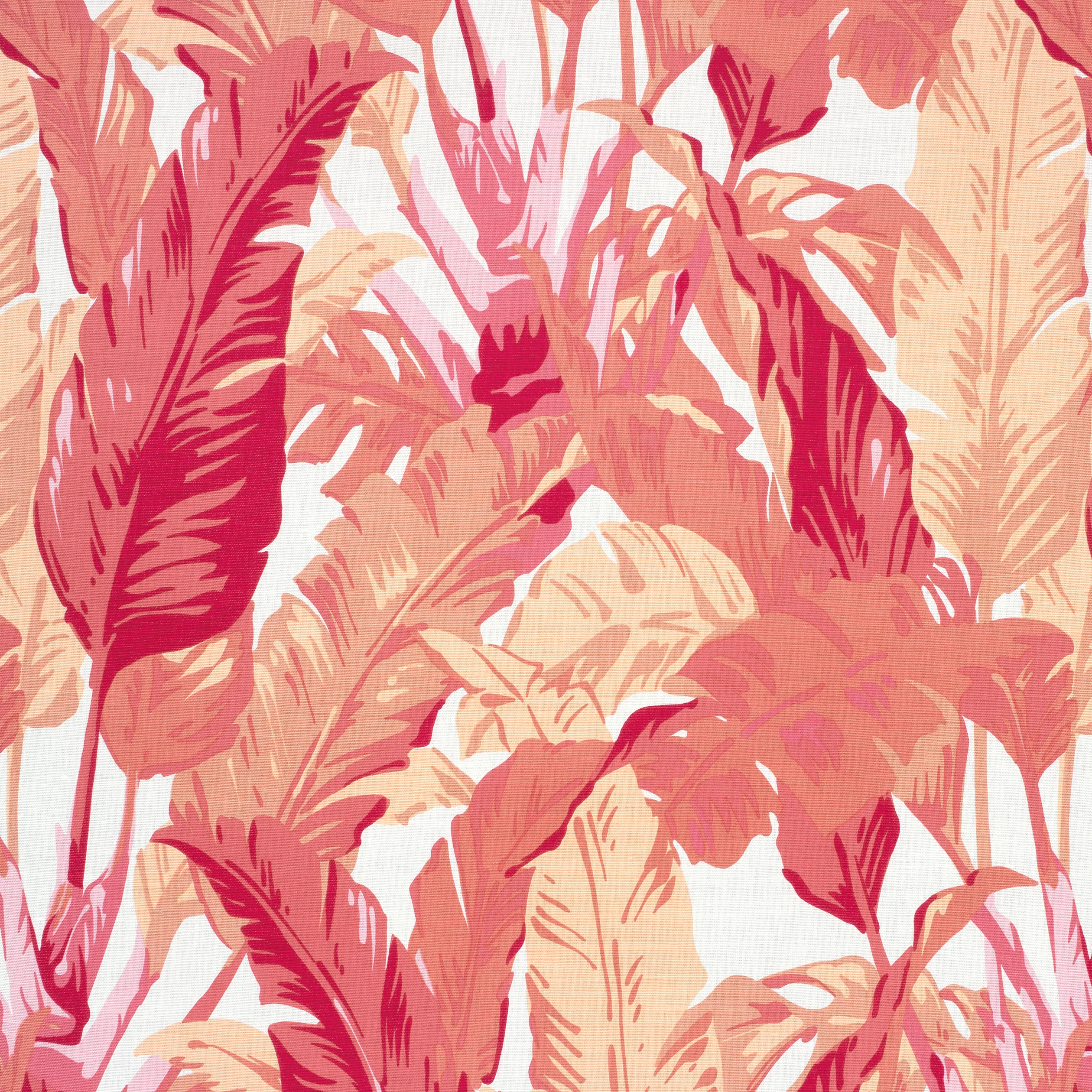 F910130 | Travelers Palm – Pink and Coral