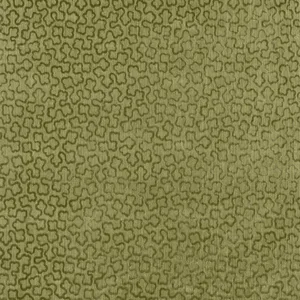 Anna French Trefolia Velvet in Ivy (AW9251)