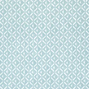 Thibaut Trion in Aqua (W73457)
