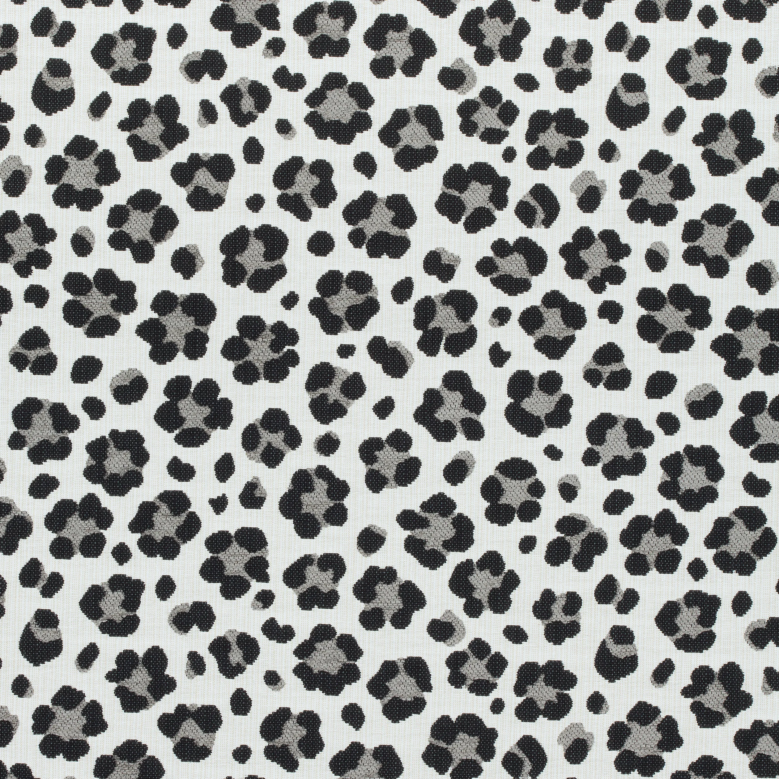 Thibaut Trixie in Black and Grey (W80420)