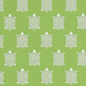 Thibaut Turtle Bay in Kiwi (W81624)
