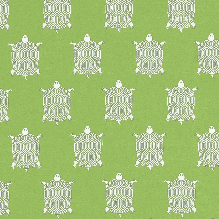 Thibaut Turtle Bay in Kiwi (W81624)