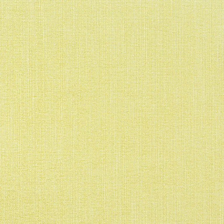 Thibaut Veda in Lemongrass (W8716)