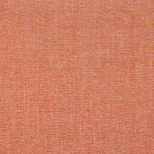 Thibaut Veda in Terracotta (W8713)