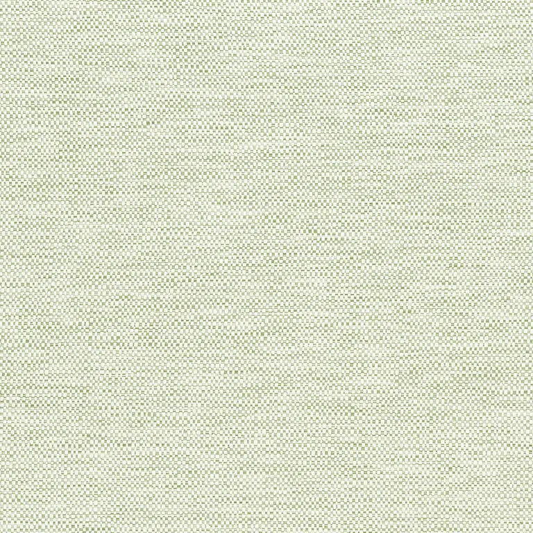 Thibaut Velani in Mojito (W9145)