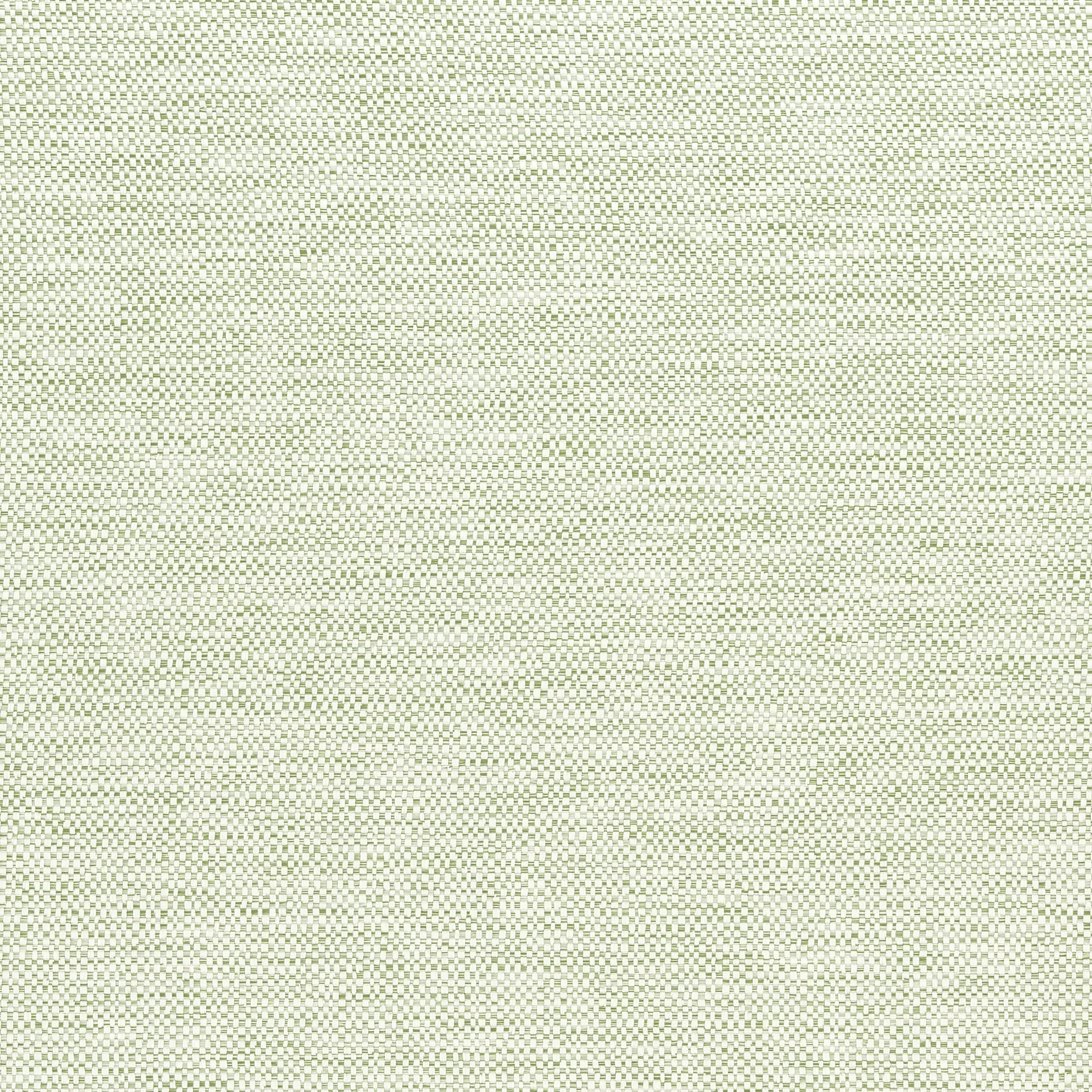 Thibaut Velani in Mojito (W9145)