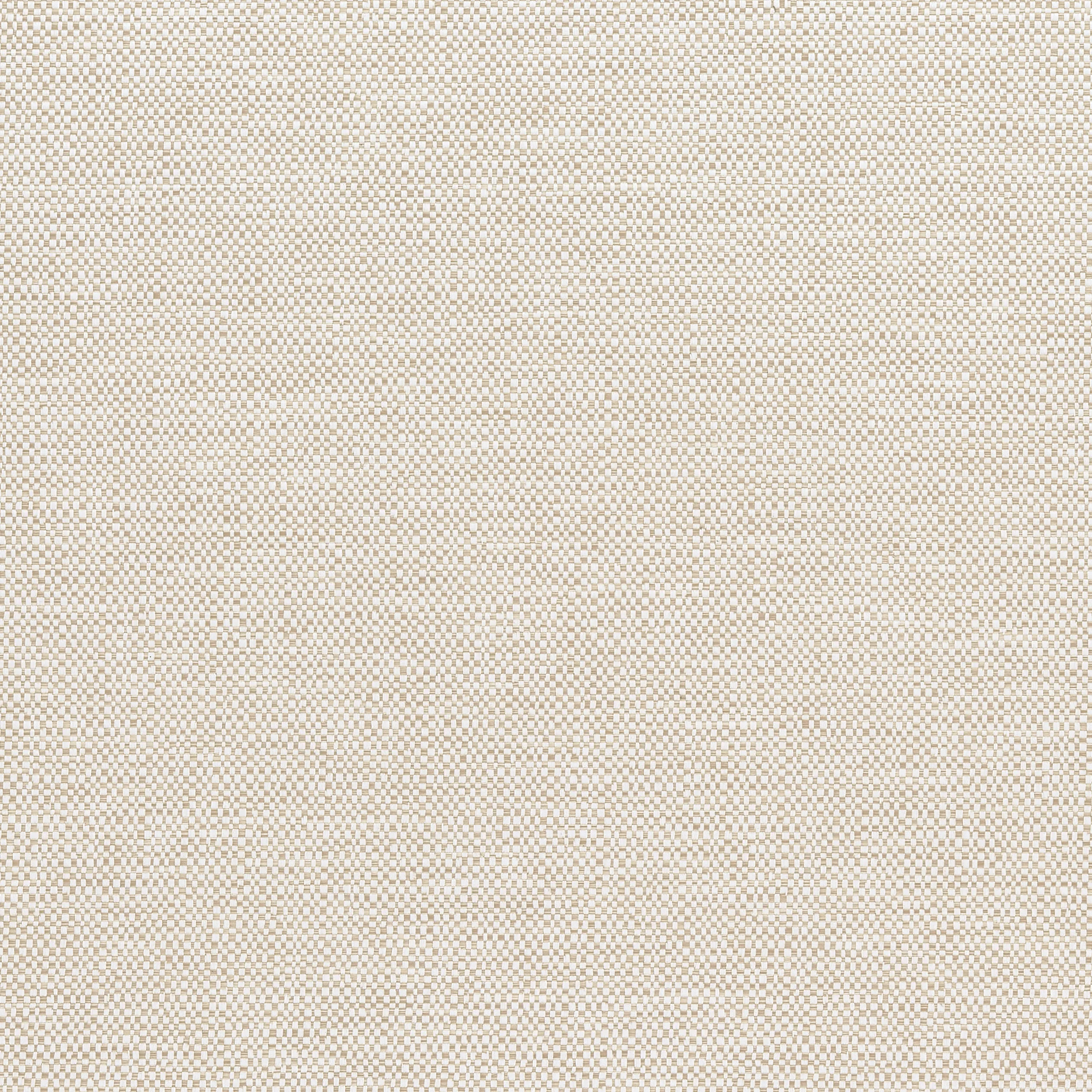 Thibaut Velani in Oatmeal (W9146)