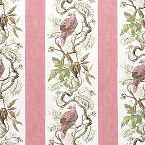 Thibaut Williamson in Blush (F910859)